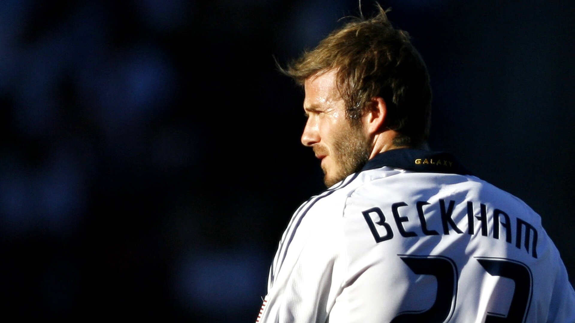 文班亚马的沉默宣言，当戈壁风吹过芝加哥联合中心